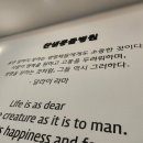 찬샘동물병원 이미지