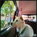 씨스페이스 죽림점 이미지