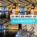 고양시 실내 가볼만한곳 일산 낚시터 이색 데이트로 재밌는 뚜루실내바다낚시터
