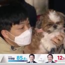 댕댕이집