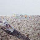 영진이용소 | 영진소품샵(영진이용소)