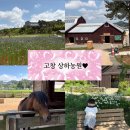[고창 아기랑 가볼만한곳] 10개월 아기랑 고창 상하농원 다녀온 솔직 후기 !