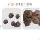 신대방요양보호사교육원
