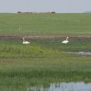 도경계 조형물 이미지