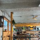 나무로스터리카페 | 수원 카페 파고라(Pagora) 후기｜나무 인테리어 감성 로스터리, 초코 파베 브라우니 맛집