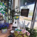 양평가든 | 양평 라이딩 카페 추천 ｜'비마이가든 양평' 남한강뷰 가드닝 감성 카페 내돈내산 후기