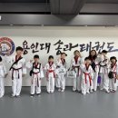 용인대송라태권도 이미지