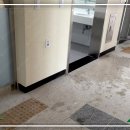 배곧고등학교 티스토리