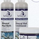 주식회사 데이원 이미지