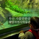 금강아파트 놀이시설(201동 앞) | 부산 아이와 가볼만한곳 부산해양자연사박물관 부산박물관 방문 후기
