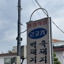 퐁낭아래 1978 이미지