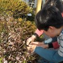 해인어린이집 이미지