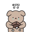 호야네김밥 이미지