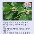 매일양식2