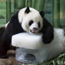 희망가득의원 이미지