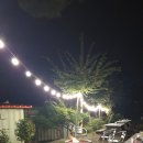 별빛키즈 애견 풀빌라 이미지