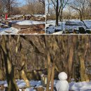 한라산국립공원관음사지구야영장 | 제주도 캠핑장 한라산 관음사 야영장 1인 캠핑