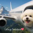 동물병원 WITH-PET | ✈️반려견동반 스위스 입국허가서 발급완료 (🐶애견동반여행준비_2)