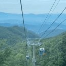 평창 별이빛나는밤에 이미지