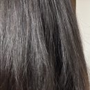 영세계미용실 | 올리브영미용실샴푸 바디브 미오 샴푸 러브 앤 데스티니 약산성 은은한 잔향 후기