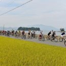 제2주차장(자전거) 이미지