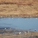 정중앙민박 이미지