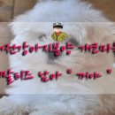 개코마을 네이버블로그