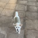 소3-10 | [대전 둔산동] 온소헤어 둔산동미용실에서 분위기 변신한 날 솔직 리뷰 후기