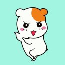 생방송투데이-로기네촌닭후기!!(묵은지닭볶음탕)