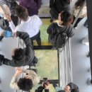 세계로데일레웨이 | 호주 시드니 여행, 세미패키지 블루마운틴 투어 후기 (페더데일 동물원, 시닉월드, 링컨스락)