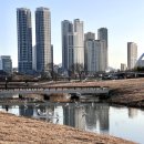 화평약국 | 벌써 3번째 K1리그 개막전을 곁들인 2월 일상