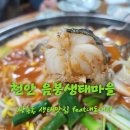 음봉생태찌개 | 음봉생태마을[충남 천안 쌍용동 생태찌개맛집 feat내돈내산후기]