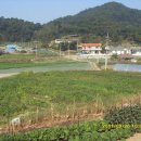 양도면-5 이미지