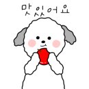 하늘돼지 사동점 이미지