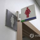 여장하고 백화점 여자화장실 간 40대…"문 열려있어서" 이미지