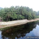 동림선원 Daum카페