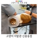 남매이발관 네이버블로그
