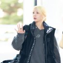 다미 이미지