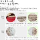 도그동물농장 이미지