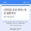 디테일라이프 | [라이브온스테이지] 라이프오브파이 부산 후기