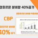 CBP 임상시험결과 이미지