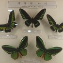 부천자연생태박물관 이미지