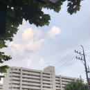 코끼리지게차 앞 | 쿠팡 일용직 HUB (허브) 뛴 여자의 후기 (돔황쳐……)