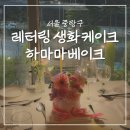 하마마베이크 | 중랑구 레터링 케이크 하마마베이크 생화케이크 주문제작 후기