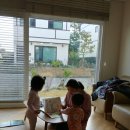 박상민농장 | 20191213- 크리스마스박물관, 오설록, 중문오일장