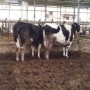 장성골농장 이미지