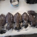 당암수산물 이미지