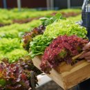 오정본병원 이미지