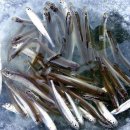 고산낚시터 이미지