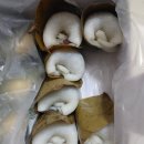 영월동강공인중개사사무소 이미지